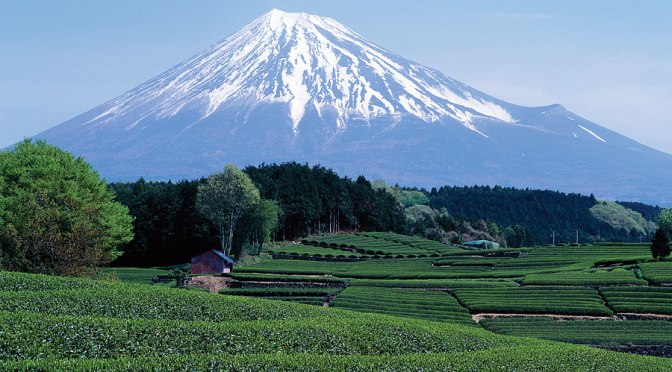 Shizuoka Prefecture Main Touristic Attractions: Railway, Bus & Ferry Access 1) Eastern Zone (constantly updated)